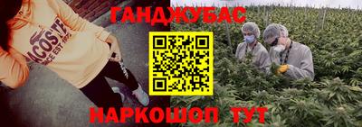 стафф Моздок