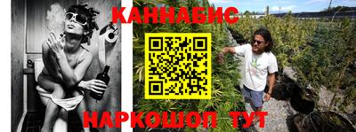 стафф Моздок