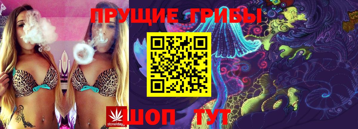 Кандалакша  Галлюциногенные грибы прущие грибы  Вход с VPN 