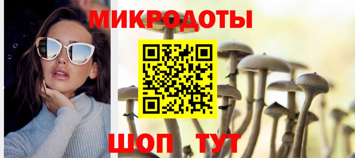 ГАШ Кандалакша